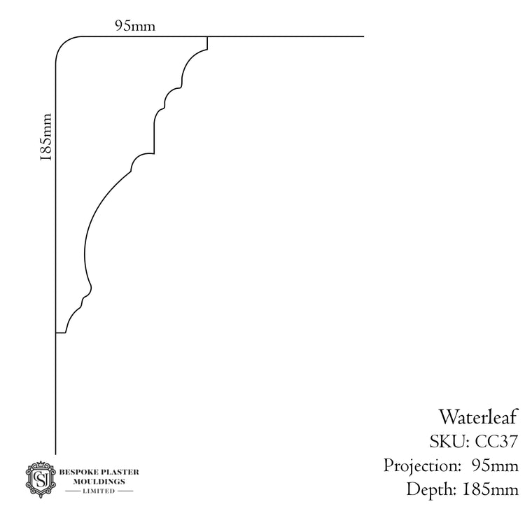 Waterleaf Cornice