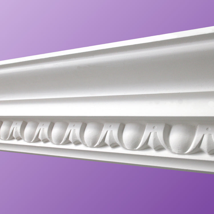 Large Egg and Dart Cornice CC06