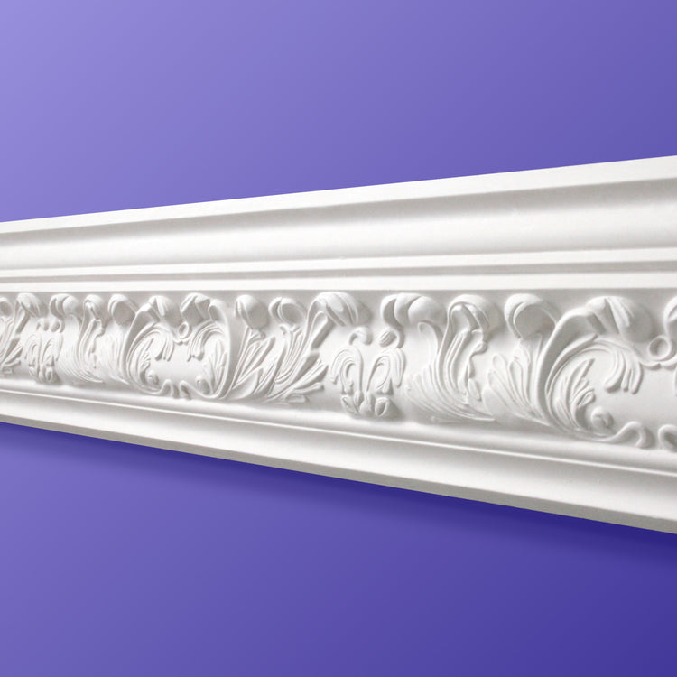 Small Acanthus Plaster Cornice CC15