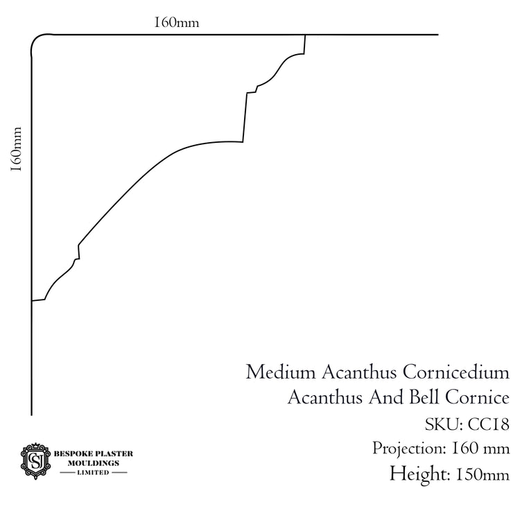 Medium Acanthus Cornice